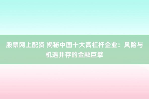 股票网上配资 揭秘中国十大高杠杆企业：风险与机遇并存的金融巨擘