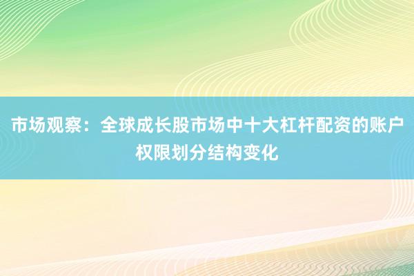 市场观察：全球成长股市场中十大杠杆配资的账户权限划分结构变化