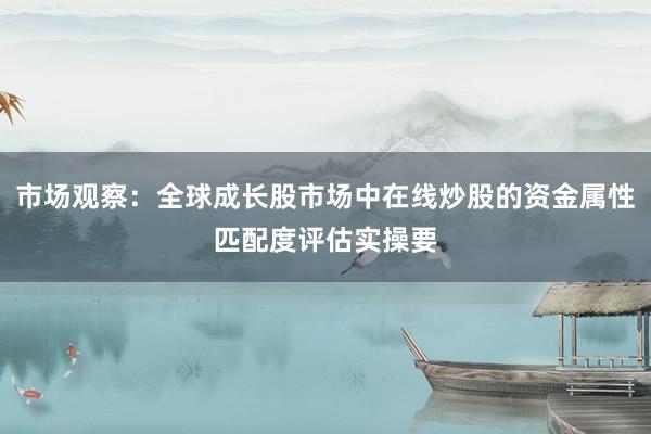 市场观察：全球成长股市场中在线炒股的资金属性匹配度评估实操要