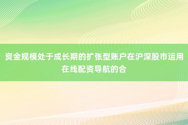 资金规模处于成长期的扩张型账户在沪深股市运用在线配资导航的合