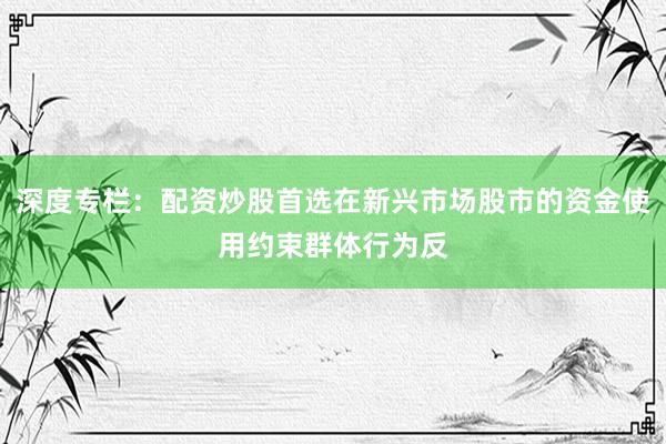 深度专栏：配资炒股首选在新兴市场股市的资金使用约束群体行为反