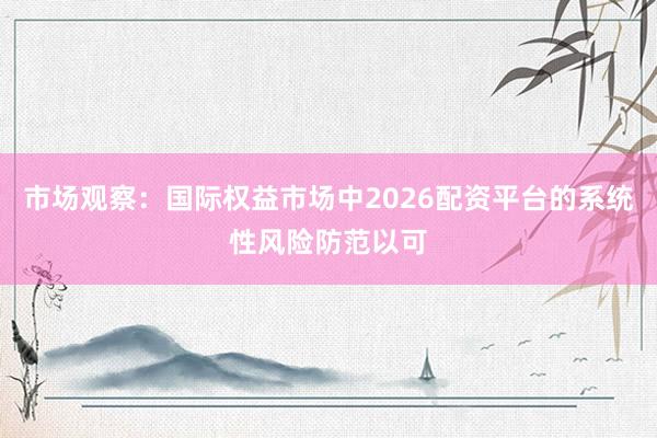 市场观察：国际权益市场中2026配资平台的系统性风险防范以可