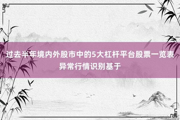 过去半年境内外股市中的5大杠杆平台股票一览表异常行情识别基于