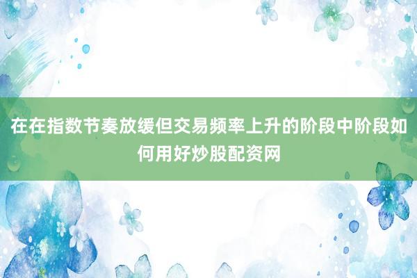 在在指数节奏放缓但交易频率上升的阶段中阶段如何用好炒股配资网