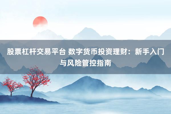 股票杠杆交易平台 数字货币投资理财：新手入门与风险管控指南