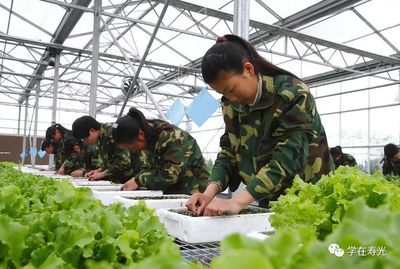 家门口的好学校┆寿光市职业教育中心学校:匠心筑梦在职教