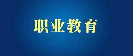 职业教育多元办学格局的现状与发展策略